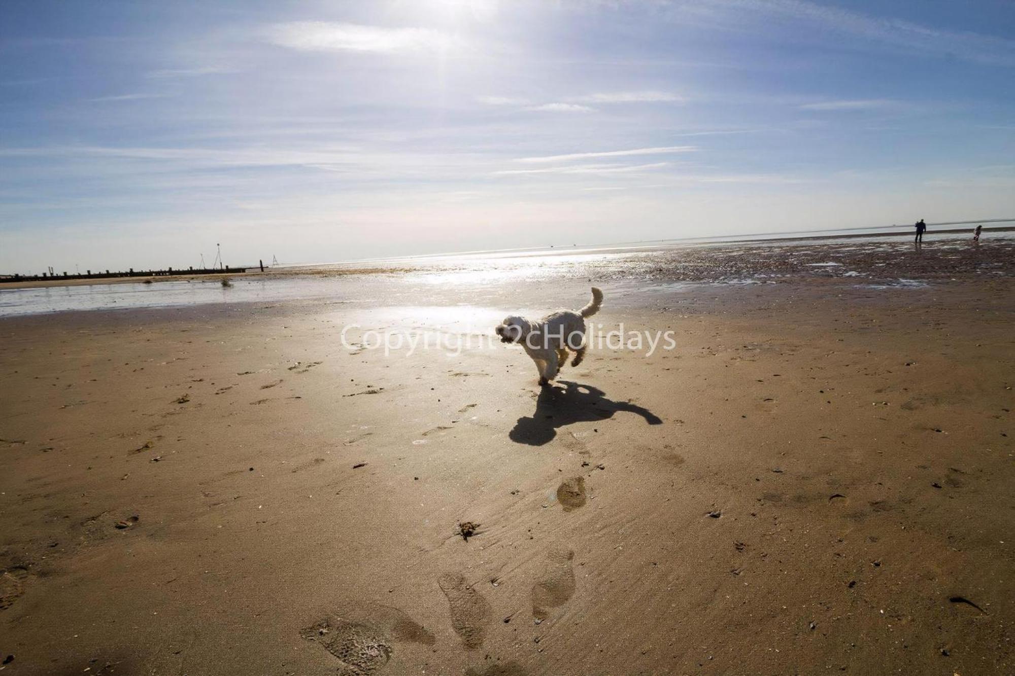 5 Berth Dog Friendly Lodge In Hunstanton By The Beach Ref 13015Rn Exterior photo